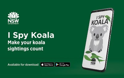 I Spy Koala app on a green background