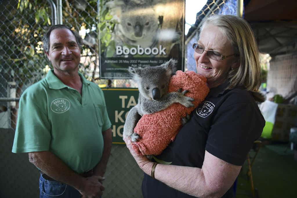 Christeen and Paul McLeod together inside their sanctuary, with Christeen holding a rescued koala in her arms