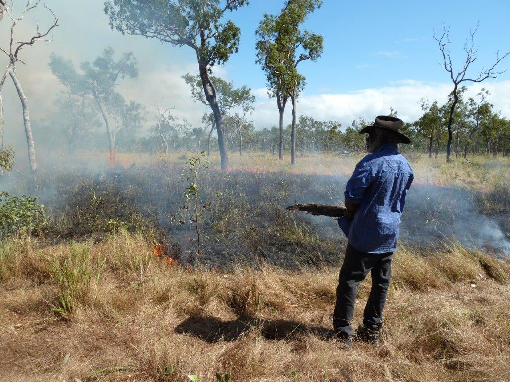 Aboriginal rangers in a post-fire Australian landscape