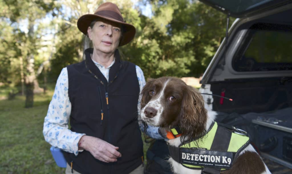 Penny the conservation dog with her owner, Lynn