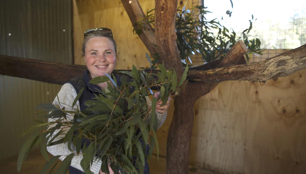 Penny Walsh, wildlife rescuer and carer, standing near some eucalyptus leaves