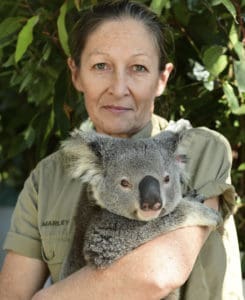 woman holds koala
