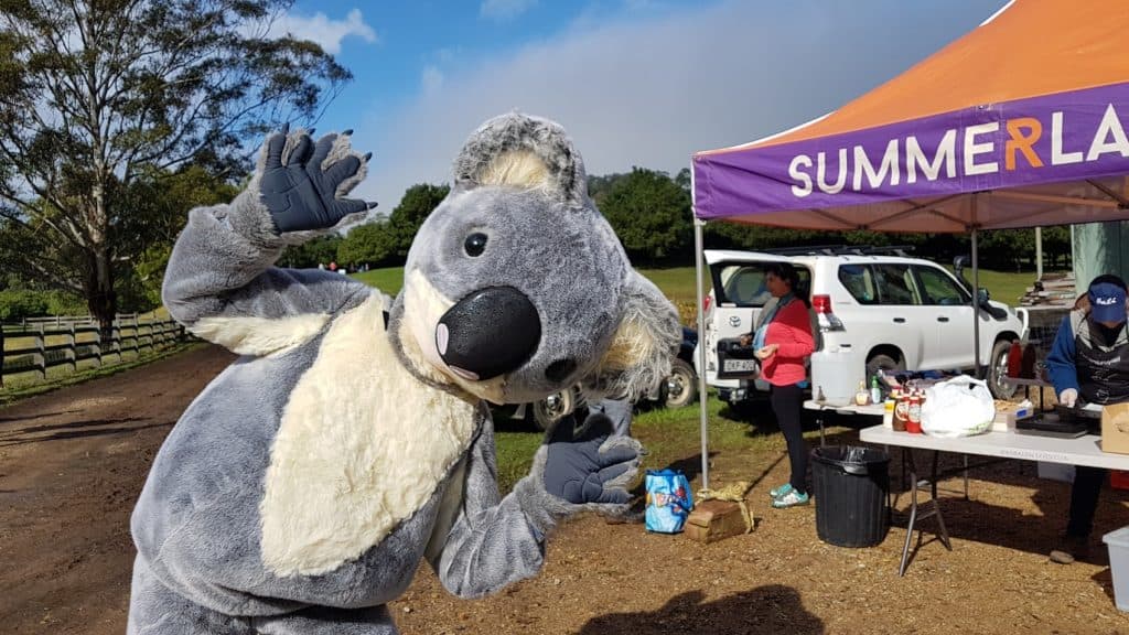 Person in a Koala suit waves while standing next to a fundraising gazebo