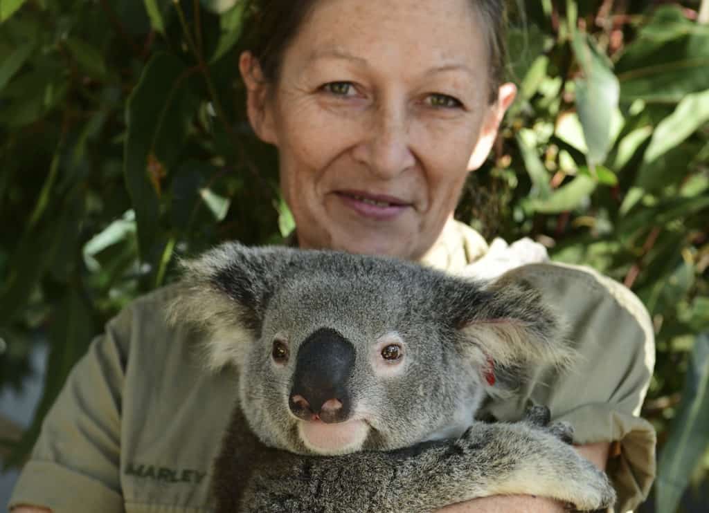 Marley Christian, volunteer rescue coordinator, smiles while holding a koala