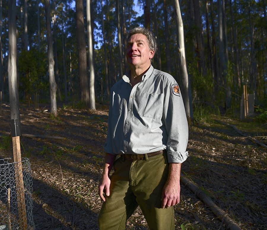 Martin Smith, ranger from the Coffs Coast, smiles and looks up towards trees