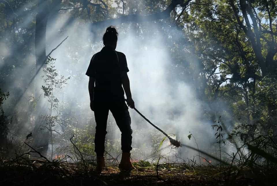 An Aboriginal woman practises traditional burning in a forest