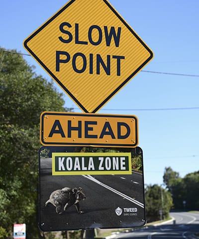 A koala road sign reading 'Slow point ahead, koala zone'