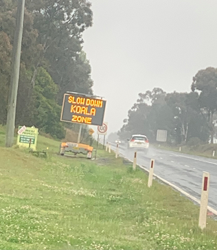 Koala road signage