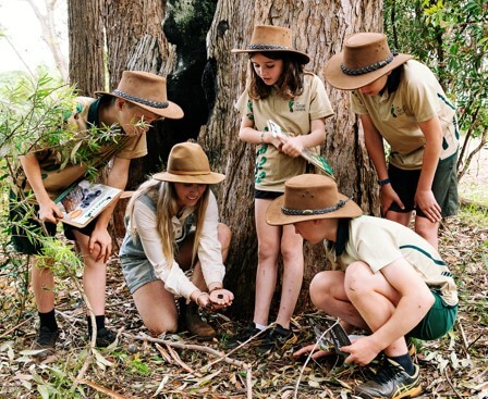 Port Macquarie Nature School students learn about koala scat identification