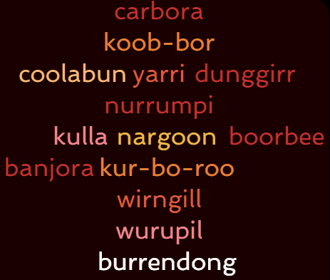 Koala Aboriginal word cloud