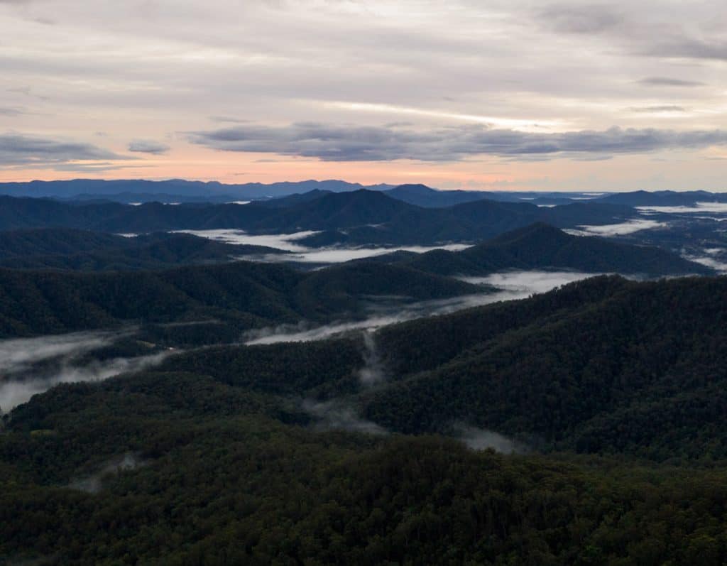Misty landscape of green rolling hills in Australia