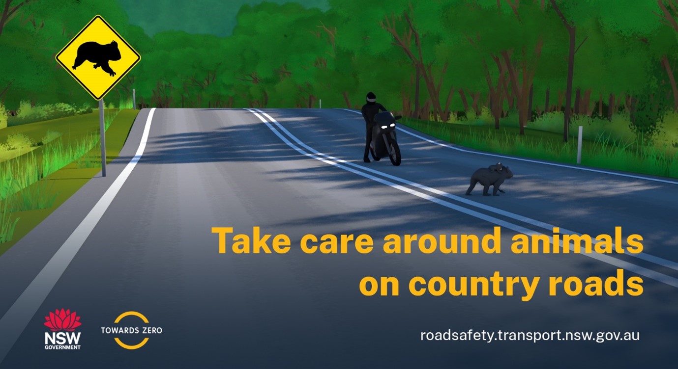 Avoid Wildlife Collisions While Driving