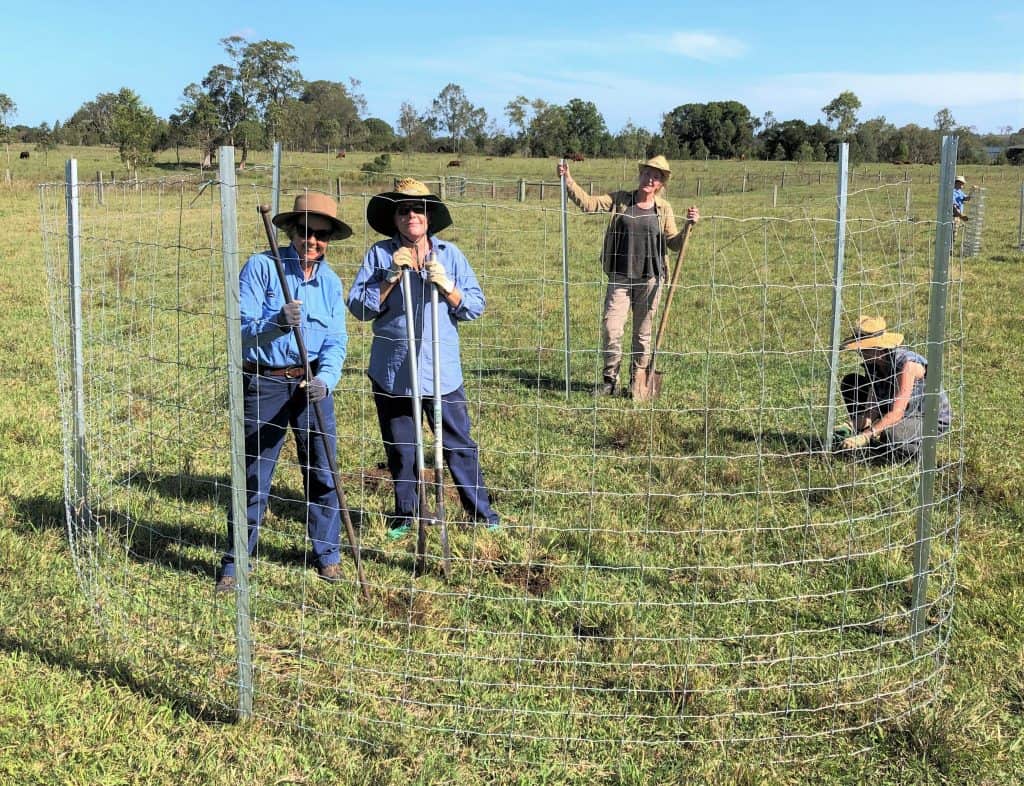 Julie Reid conservationist planting trees with group