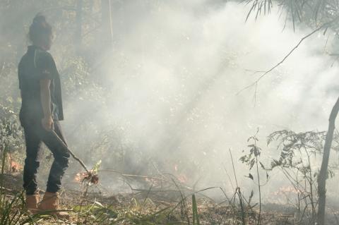 Aboriginal woman practices traditional burning in a forest
