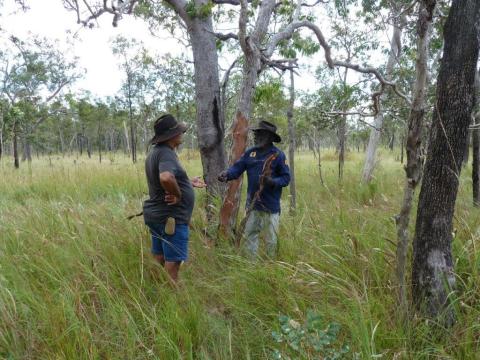 Aboriginal Rangers in Australian landscape