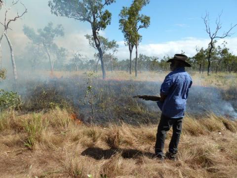 Aboriginal Rangers in post-fire Australian landscape