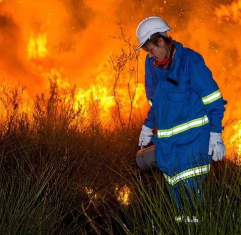 A woman in PPE practices prescribed burning